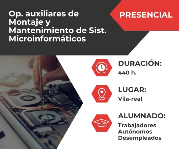 Operaciones Auxiliares de Montaje y Mantenimiento de Sistemas Microinformáticos (IFCT0108)