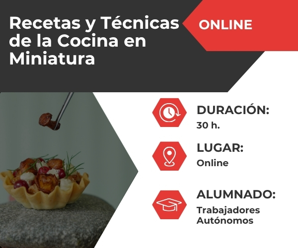 Recetas Y Técnicas De La Cocina En Miniatura (HOTR014PO)